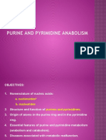 ACAWPurineand Pyrimindine Synthesis Presentationfor October 112010