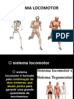 Sistema Locomotor C