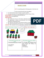 10BS-Air Purifying Plants @scienceguru