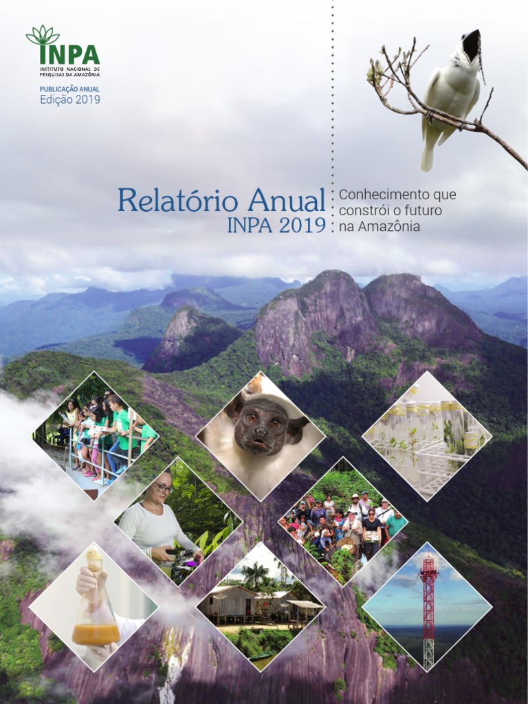 Relatório Anual INPA 2019 | PDF | Floresta Amazônica | Biodiversidade