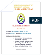 Informe Del Dia de Contacto