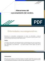 Alteraciones Del Funcionamiento Del Cerebro.