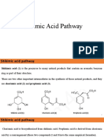 Alkaloid Biosynthesis