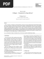 Download Collagen Shield by Dina Wahyu SN61515800 doc pdf