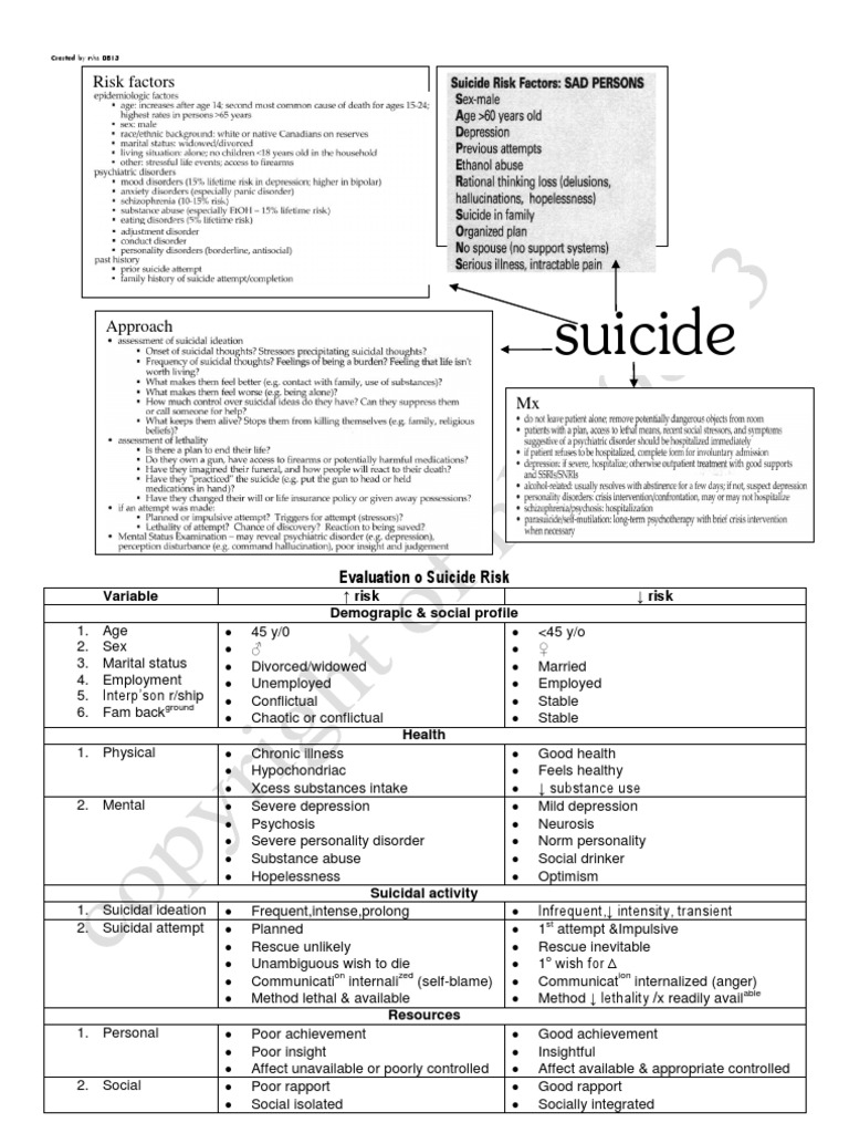 Evaluation o Suicide Risk | PDF