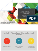 Anatomofisiologia Humana I - Aula 5 - 15out21