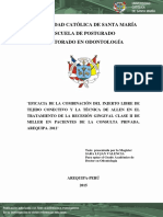 Universidad Católica de Santa María Escuela de Postgrado Doctorado en Odontología