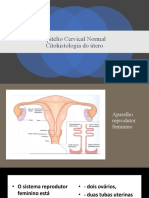 Aula 05 Epitélio Cervical Normal