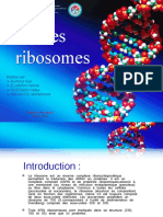 Les ribosomes