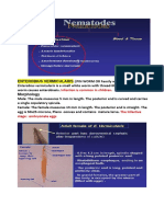 6 Intestinal Nematodes