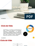 Clase13-Ciclo de Vida de Un Proyecto