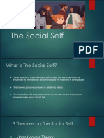 The Social Self Report