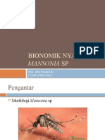 Bionomik Nyamuk Mansonia SP