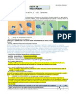 Ficha de Indagación