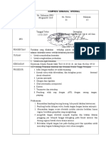 Spo Kompresi Bimanual Internal