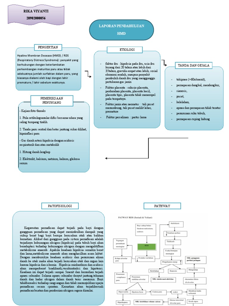 Diagnosa dan Penatalaksanaan HMD | PDF | Kesehatan Holistik