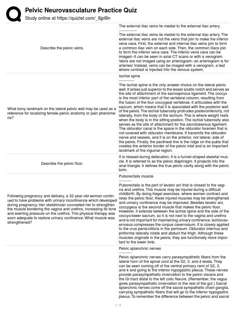 Pelvic Neurovasculature Practice Quiz PDF Pelvis Urinary Incontinence