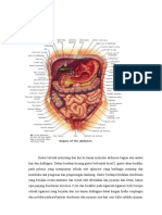 LP Kolik Abdomen