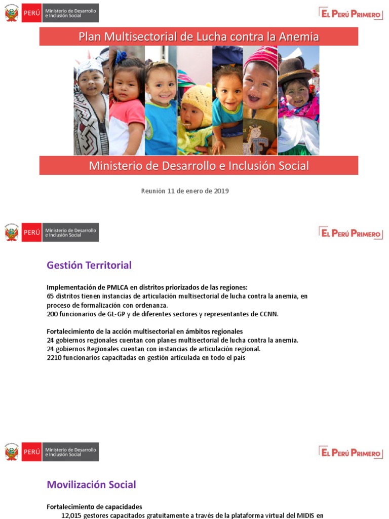 Plan Multisectorial contra la Anemia 2024 | PDF | Ciencias sociales