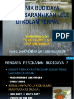 Budidaya Lele Kolam Terpal