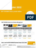 S4H 2022 Business Scope