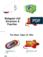 Biological Cells Structure Function
