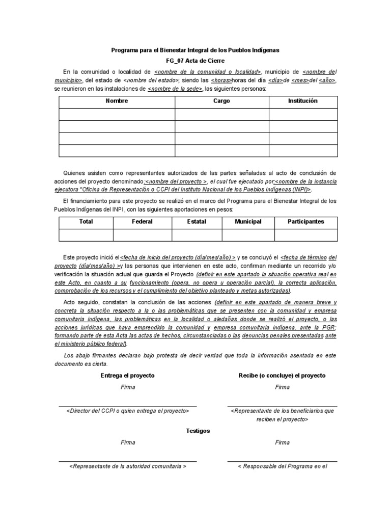 Acta de Cierre del Proyecto INPI | PDF | Finanzas y dinero | Ciencias ...