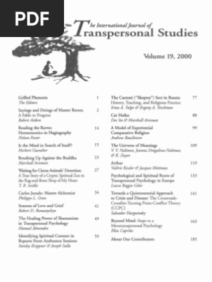 Vol 19 00 Pdf Symmetry Zen