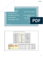 Bioenergetica ATP 251.504