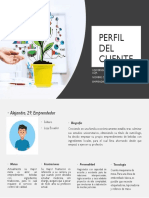 Perfil Del Cliente