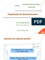 Aula 3 - Organização Do Genoma, Transcrição e Processamento de RNA