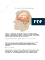 Introduction To Neuropsychology