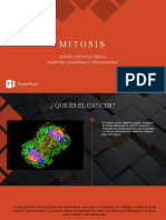 Mitosis: Cancer Y Division Celula Martinez Valentina Y Ochoa Malena