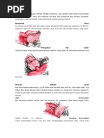 Download nikmat by hazrul_hafiz_1 SN61526259 doc pdf