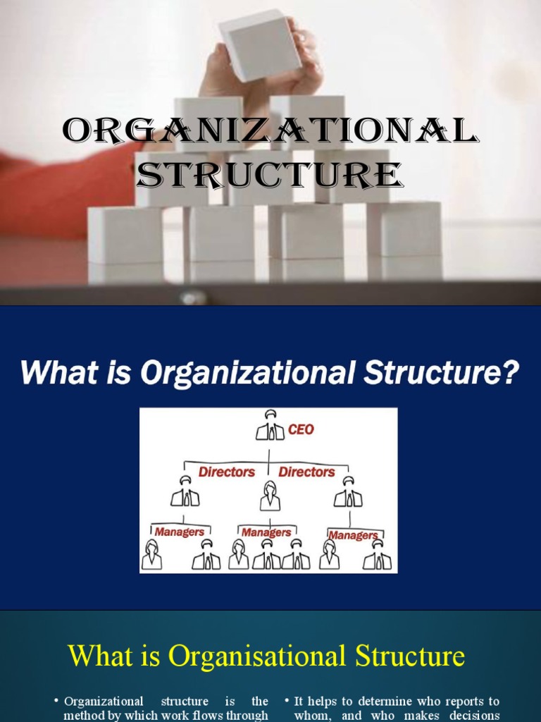 Org Stru | PDF | Organizational Structure | Business