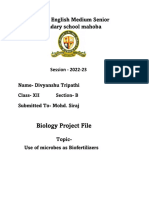 St. Joseph School Mahoba Biology Project on Biofertilizers