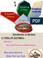 Introduction To Bacteria