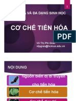 CoCheTienHoa Khoamoitruong20211210