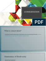 Conservation Presentation