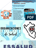 PDF de Las Organizaciones y Colegio de Enfermeros - Compressed