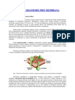 Elemente de Transport Prin Membrana Celulara