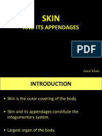 Skin Presentation 2