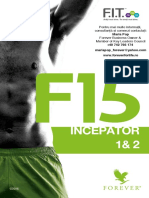 Brosura F15 Incepator 1