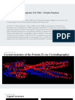 Multidrug ABC Transporter SAV1866 - Protein Function