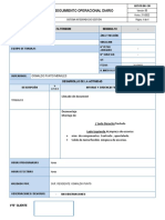 REPORTE DIARIO - INFORME DE AVANCE DEL DIA 25-11 - Turno Dia5