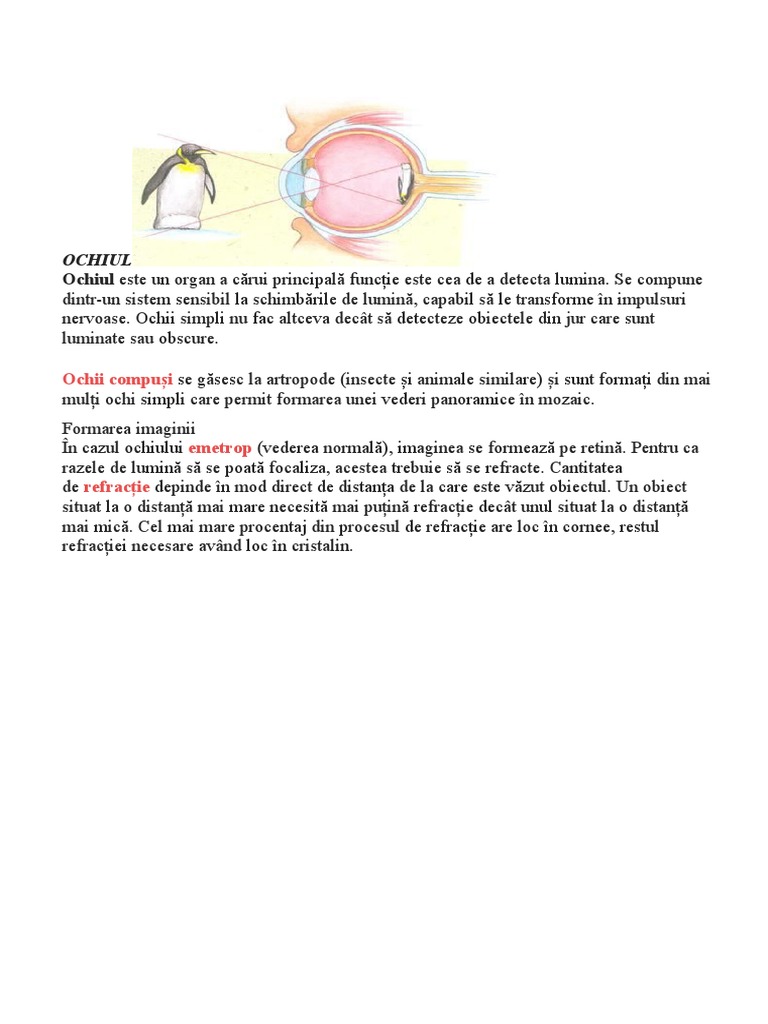 Instrumente Optice Cu Imagini Virtuale | PDF