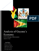 ECON-120 - Group Analysis, Guyana