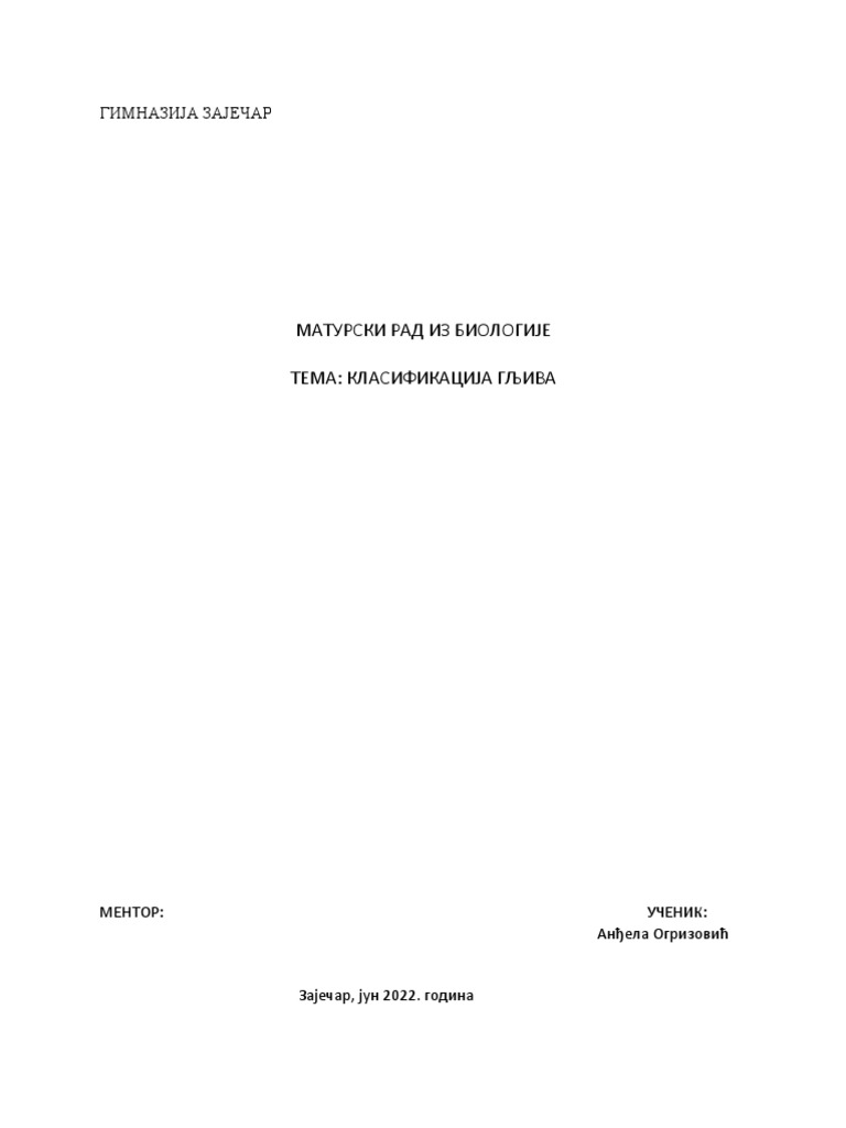 Матурски рад | PDF