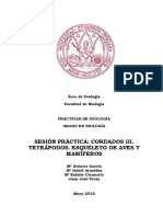 Sesión Práctica III - Tetrápodos. Esqueleto de Aves y Mamíferos