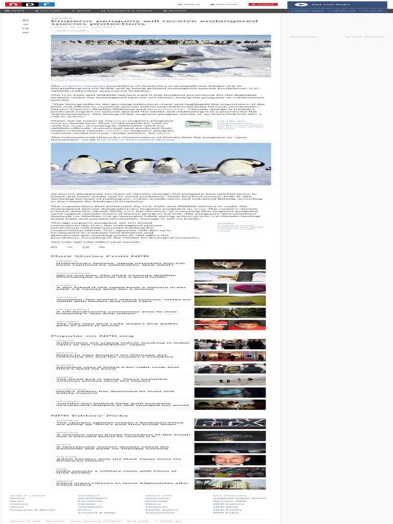 Antarctica's Emperor Penguins Will Receive Endangered Species